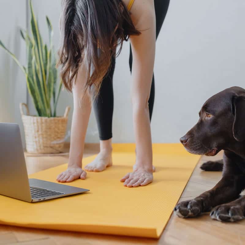 On-line Yoga classes
